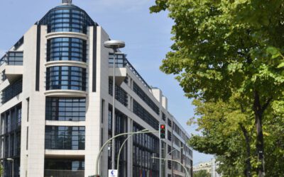 Pres­se­mit­tei­lung: SPD stimmt Koali­ti­ons­ver­trag zu – Wir for­dern kla­re Ver­ant­wor­tung und grund­le­gen­de Erneue­rung der Partei